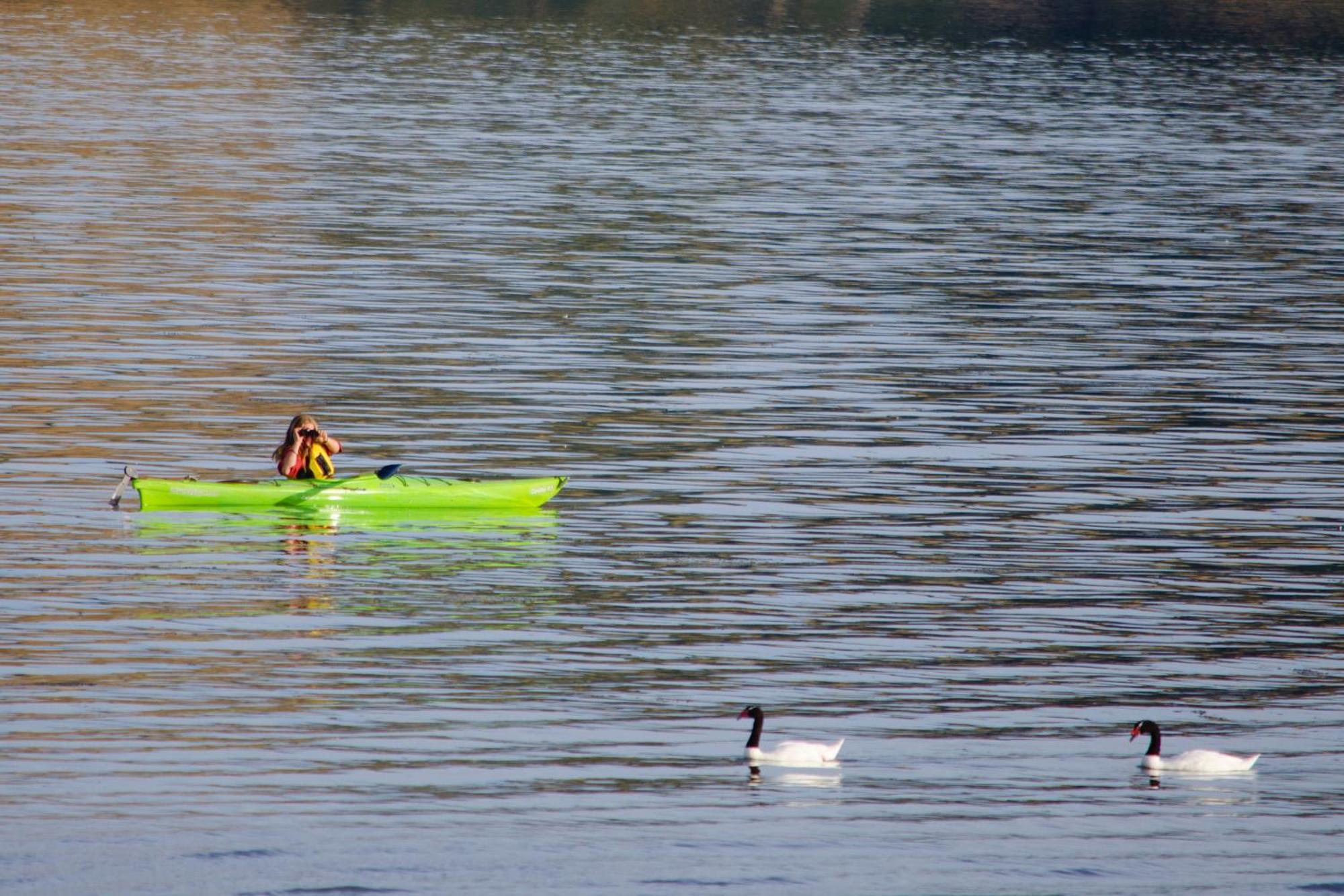Refugio Pullao Hotell Quilquico Exteriör bild